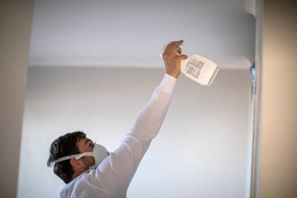 Best Mold Damage Repair  in Tilton Northfield, NH