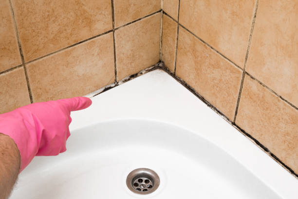 Best Mold Testing  in Tilton Northfield, NH